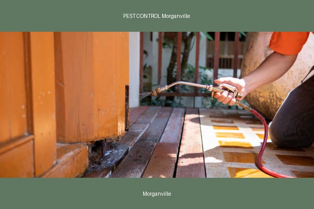PEST CONTROL Morganville